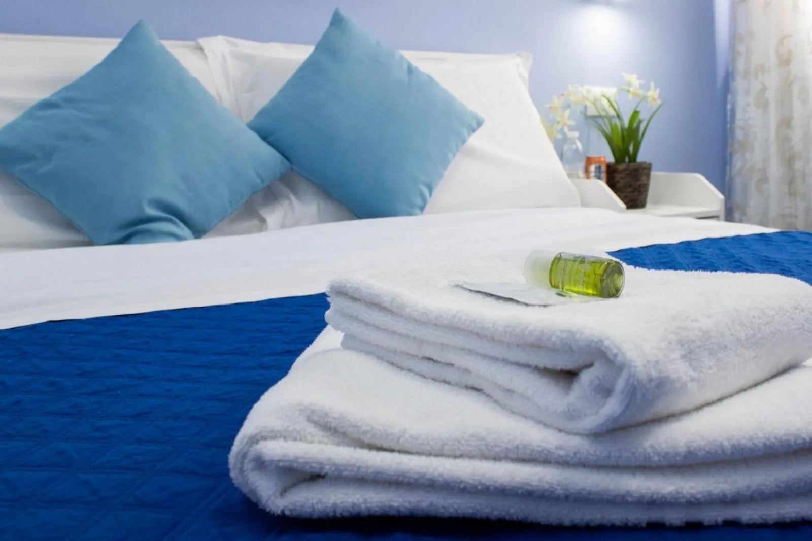 B&B Corso Italia Pisa