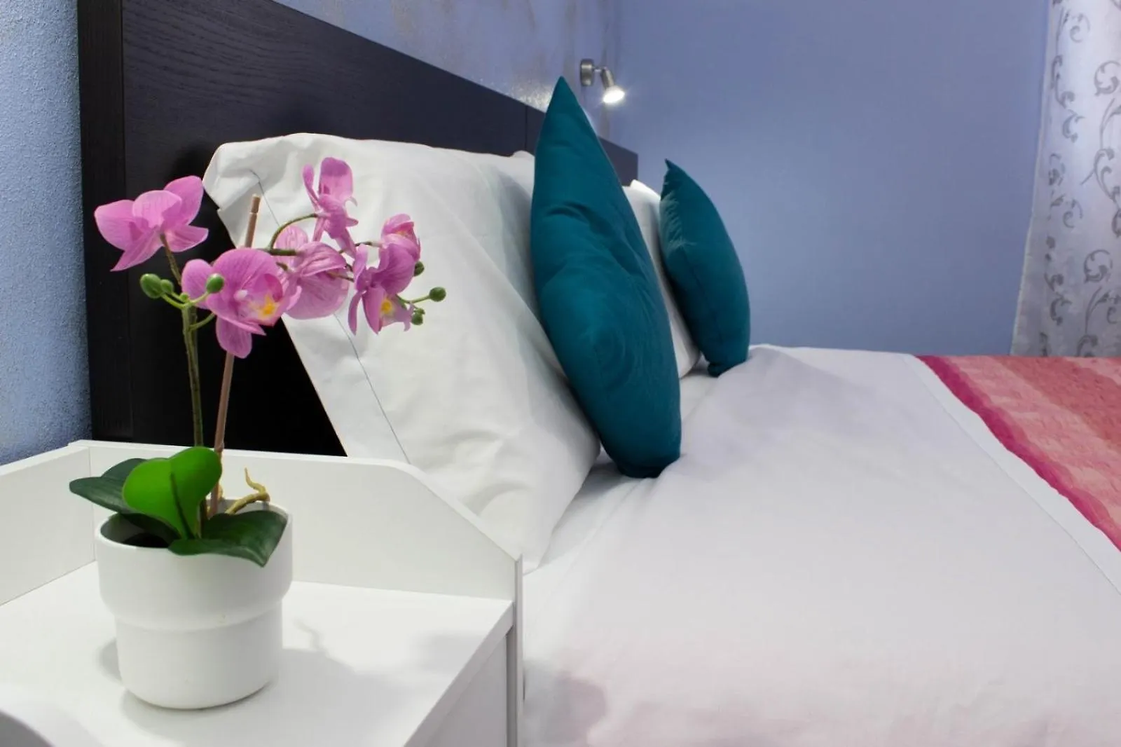 Bed & Breakfast B&B Corso Italia Pisa Italy